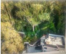 713 Acton St, DALY CITY