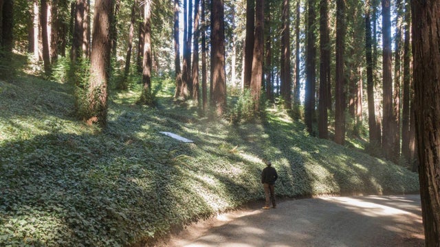 446 Old La Honda Rd, WOODSIDE