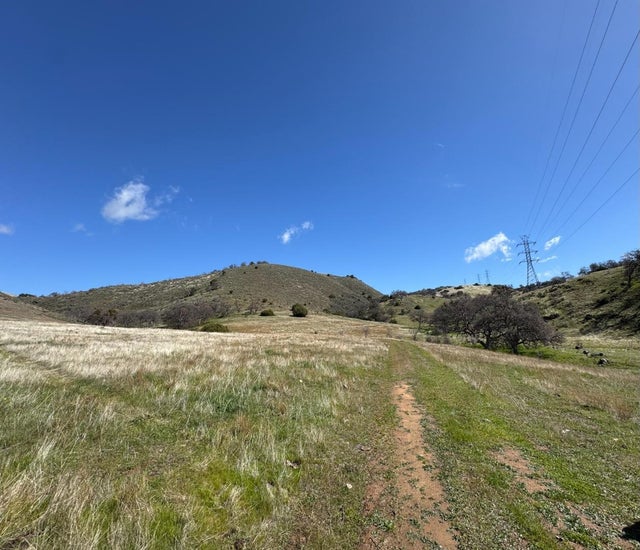 42.1 Panoche, PAICINES