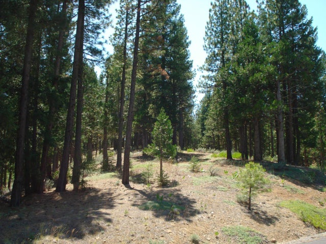 976 Moon Shadow, PORTOLA