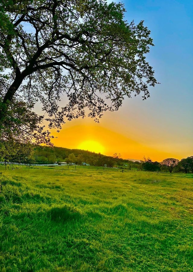 159 Albright Ct, ANGELS CAMP