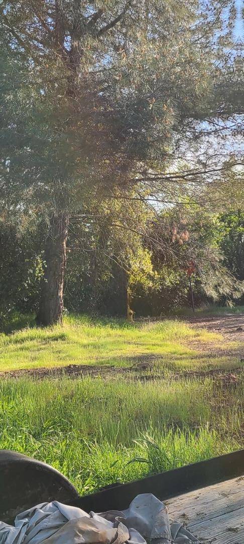 10470 Chicharra Ct, COULTERVILLE