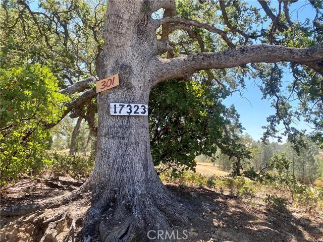 17323 Wagon Wheel Dr, CORNING