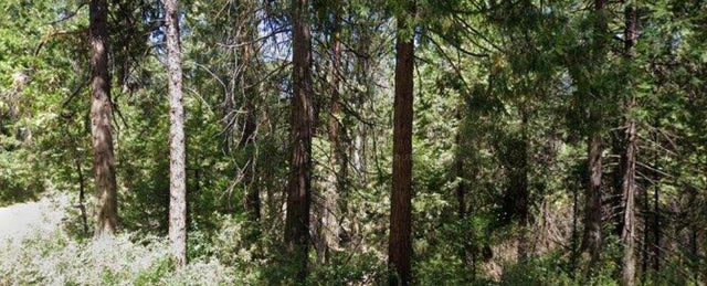 166 Higdon Rd, WEST POINT