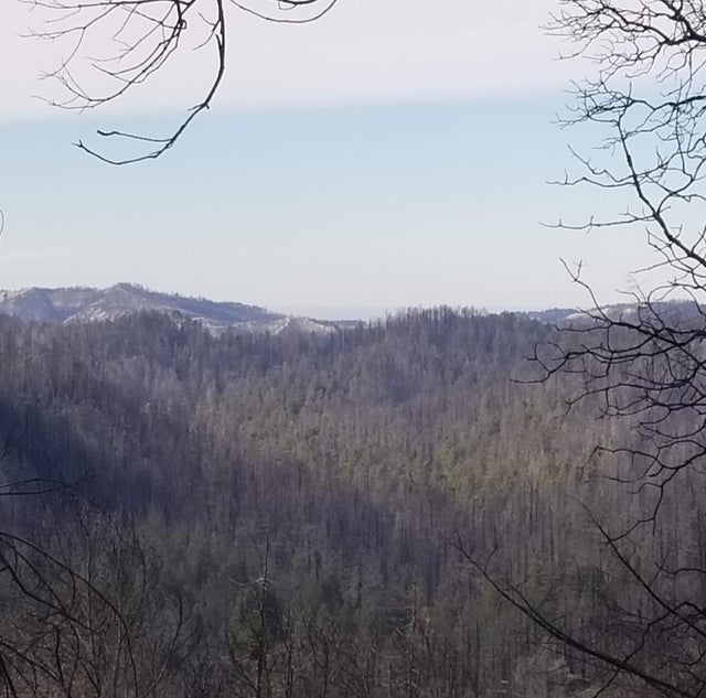 20604 Little Basin Rd, BOULDER CREEK