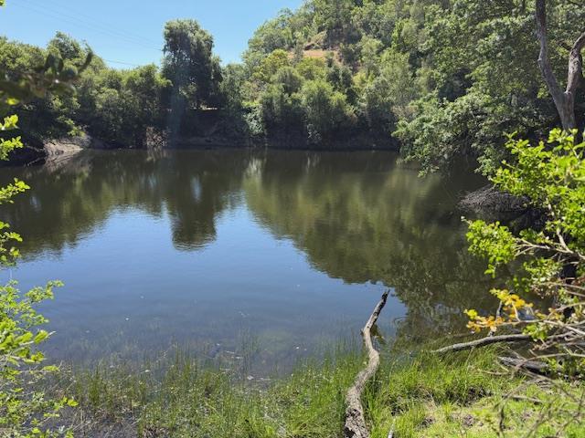 14056 Uvas Rd, MORGAN HILL