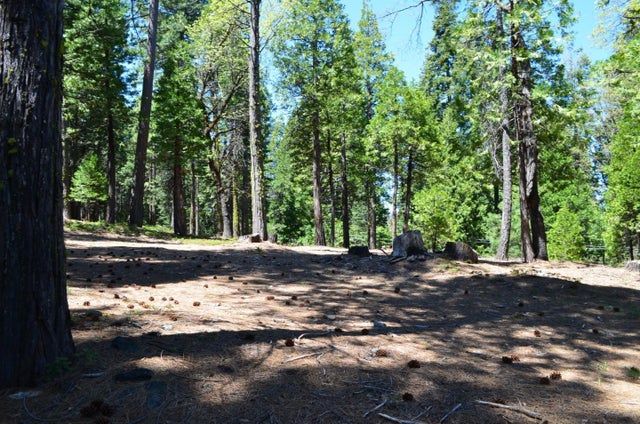 3112 Apache Rd, DORRINGTON