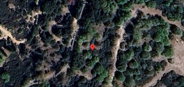 29865 Hickory Dr, CEDAR GLEN