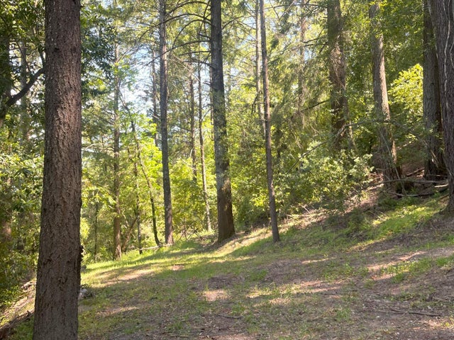 19179 Skyline Blvd, LOS GATOS