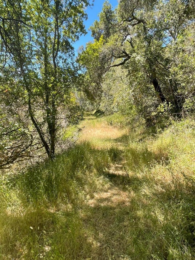 0 Crystal Springs Rd, HILLSBOROUGH