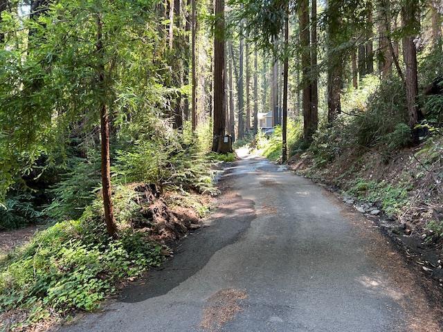 141 Leafwood Dr, BOULDER CREEK