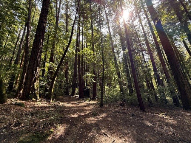 00 Slate Creek Rd., LA HONDA