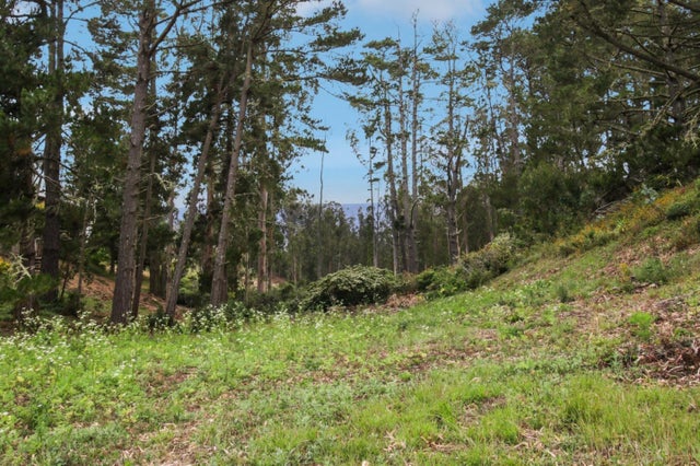 000 Lewis Ave, EL GRANADA