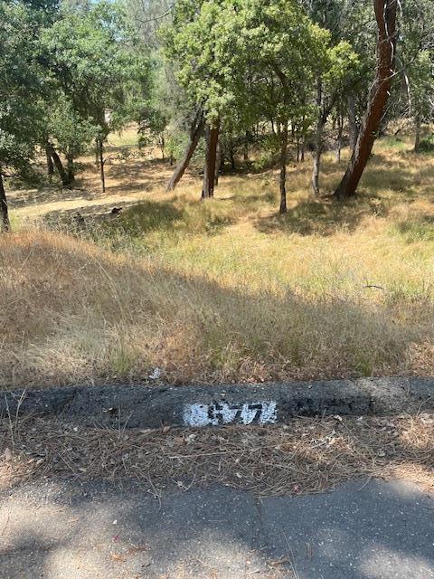 582 Silver Leaf Dr, OROVILLE