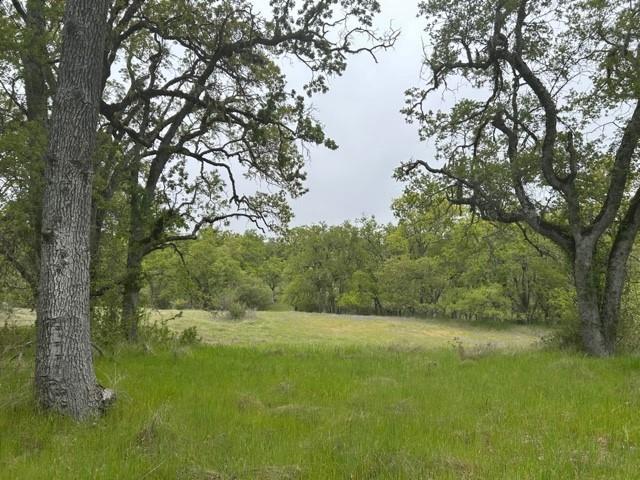 0 Lambert Flat Rd, CARMEL VALLEY