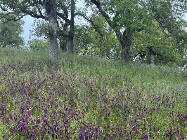0 Lambert Flat Rd, CARMEL VALLEY