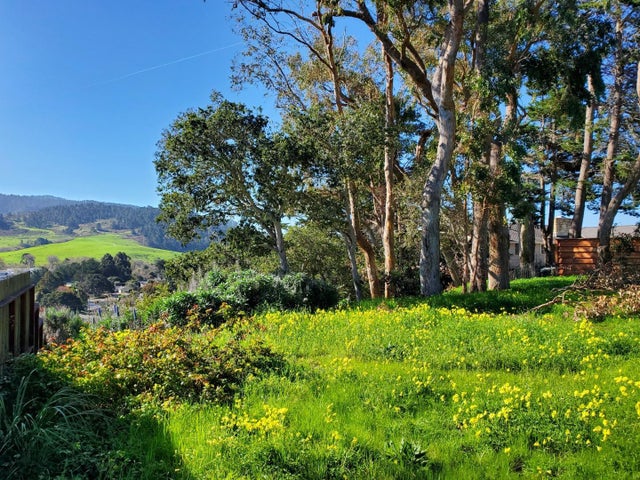 3528 Lazarro Dr, Carmel