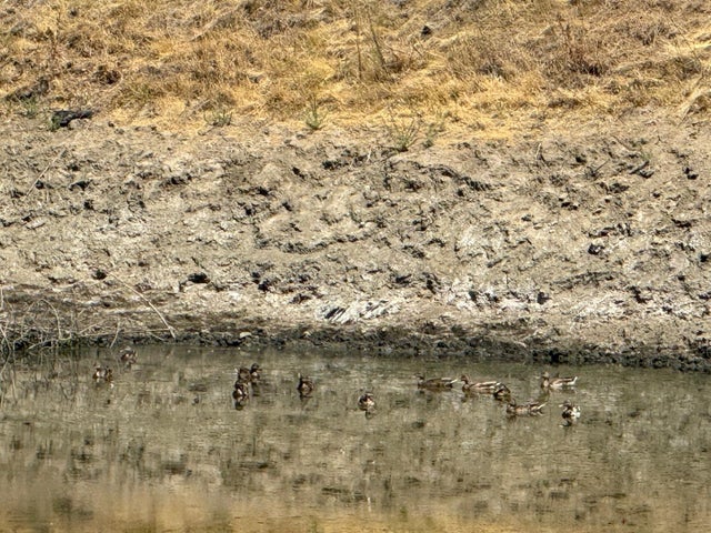 48015 Mines Rd, SAN JOSE