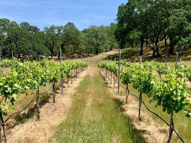 0 Hayes Ln, SAN MARTIN