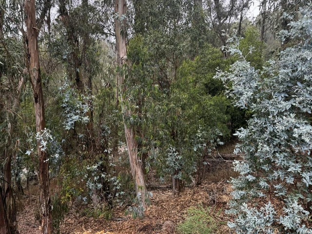 6567 Thornhill Dr, OAKLAND