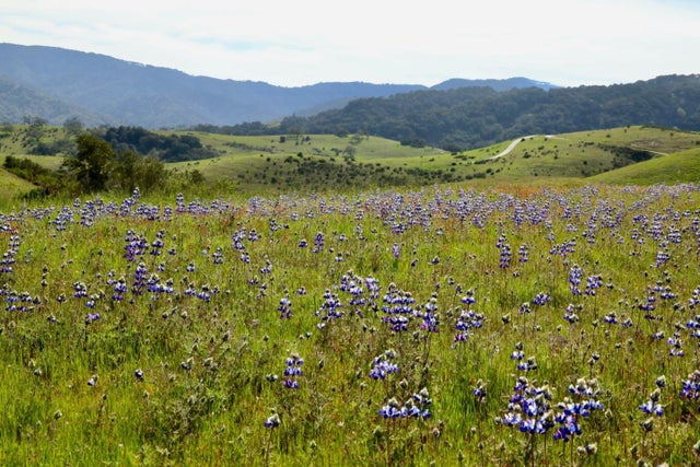 1 Penon Peak (lot 217) Trl, CARMEL