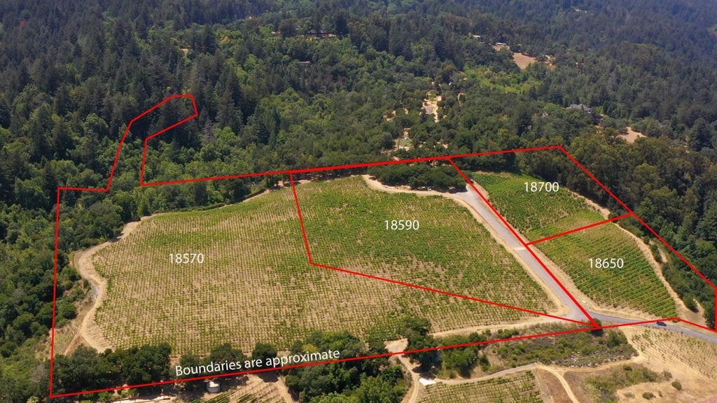 18570 Black Rd, LOS GATOS