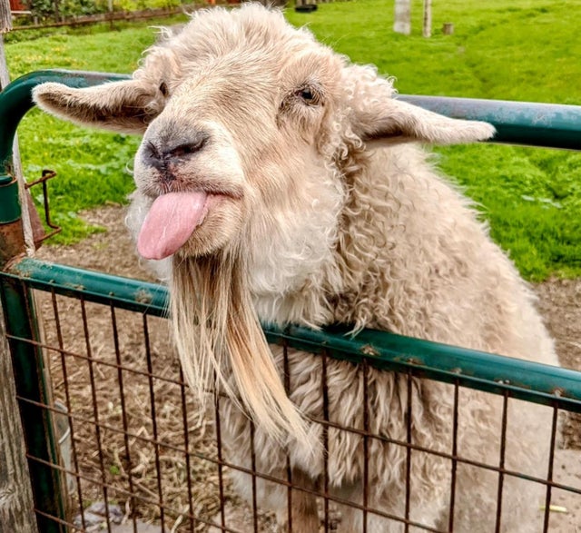 000 San Lucas, MOSS BEACH