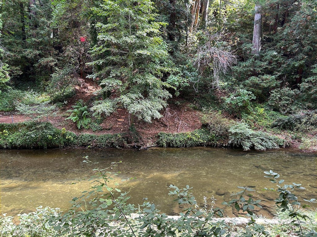 11085 Riverside Rd, BROOKDALE