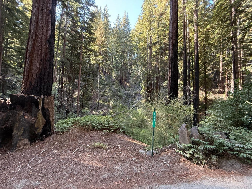 449 Band Rd, BOULDER CREEK