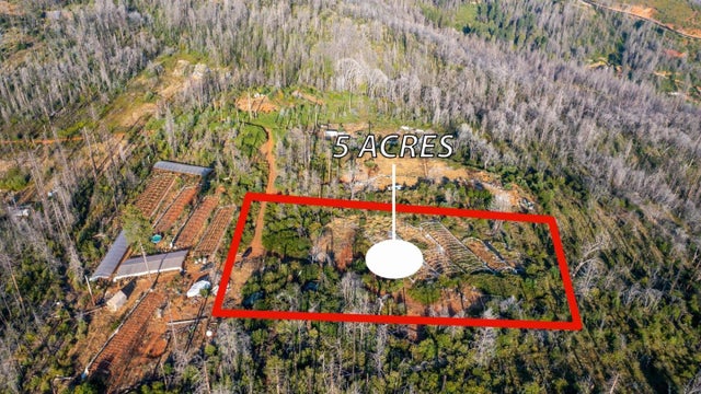 175 Bonnie Meadow Ln, BERRY CREEK