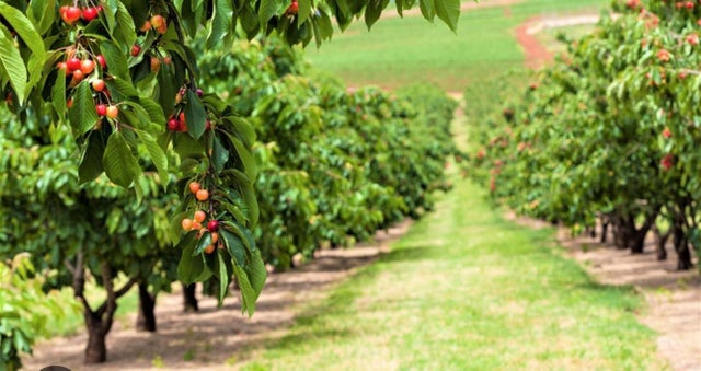 0 Apn 841-38-029, GILROY