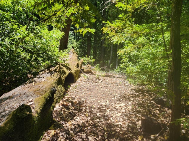 0 Lost Valley Rd, LOS GATOS