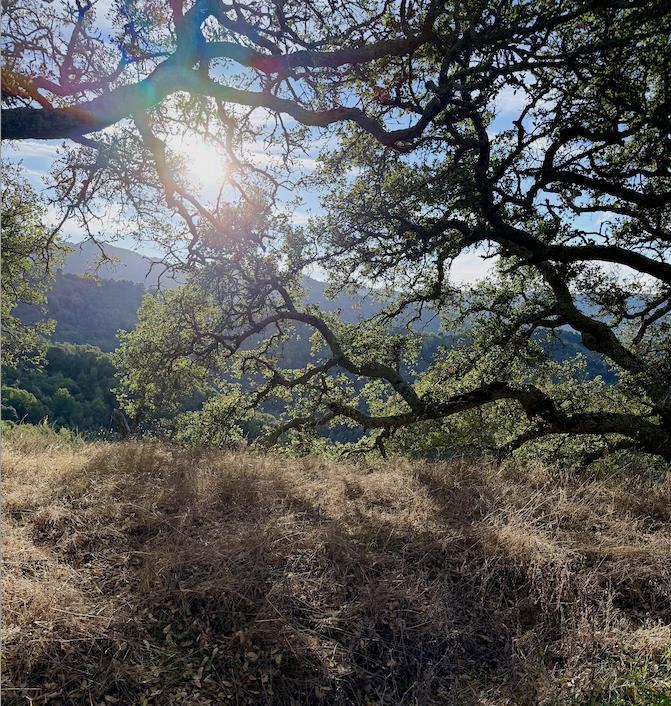 0 Via Vespero, SAN JOSE