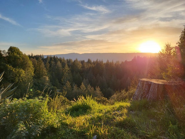 18060 Moonrise Rd, Boulder Creek