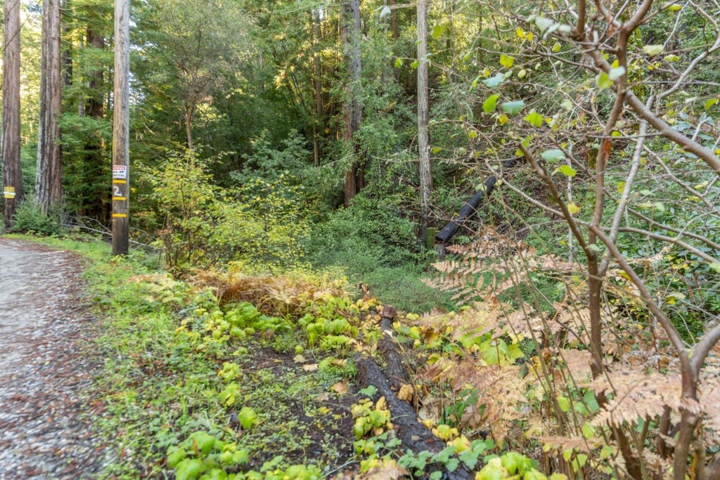 4 Old Mill Ave, FELTON