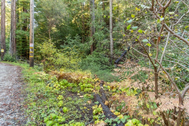 4 Old Mill Ave, FELTON