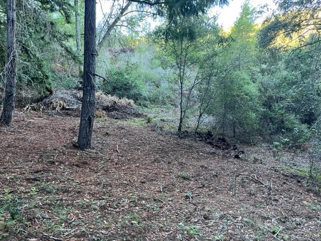 0 Redwood Retreat Rd, GILROY