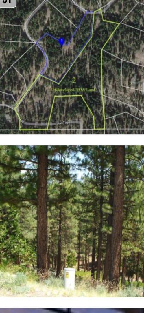 976 Moon Shadow, PORTOLA