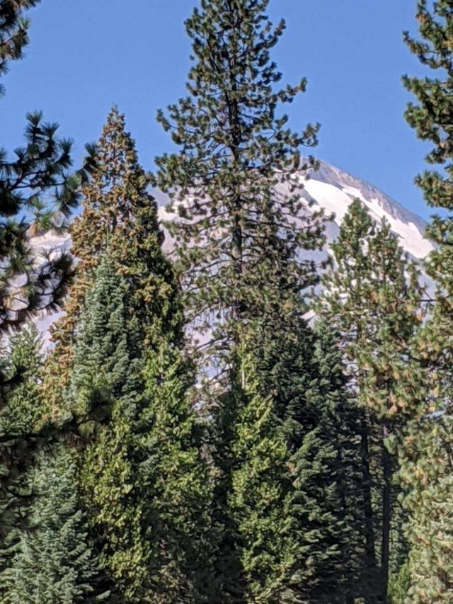 21 Ridge Dr, MCCLOUD