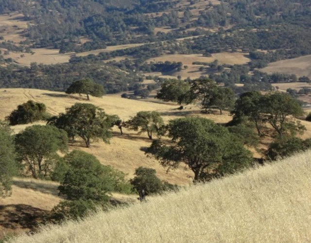 20041 Panoche Rd, PAICINES