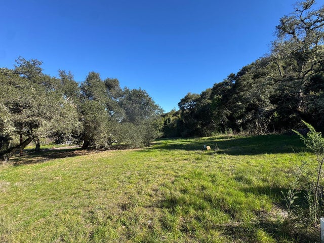 0-250 Heacox, WOODSIDE