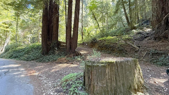 15645 Stetson Rd, LOS GATOS