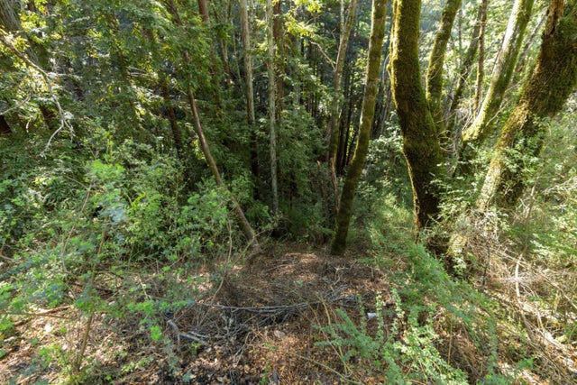 43 And 44 Buckeye St, FELTON