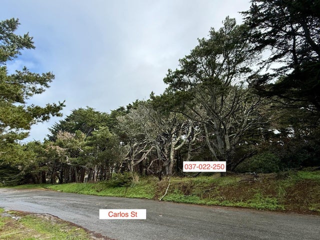 037022250 Carlos, MOSS BEACH