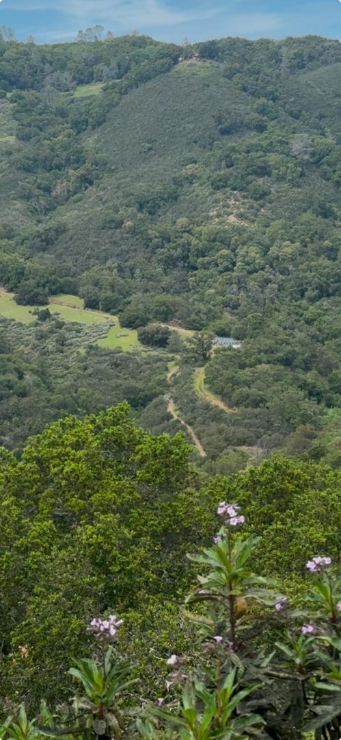 0 O Uvas Road, MORGAN HILL