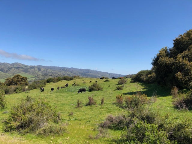 36000 E Carmel Valley, CARMEL VALLEY