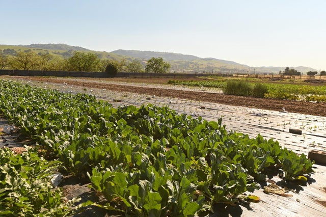 1600 Barrett Ave, MORGAN HILL