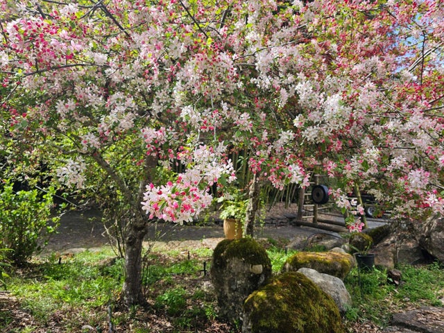 5601 Freedom Blvd, APTOS