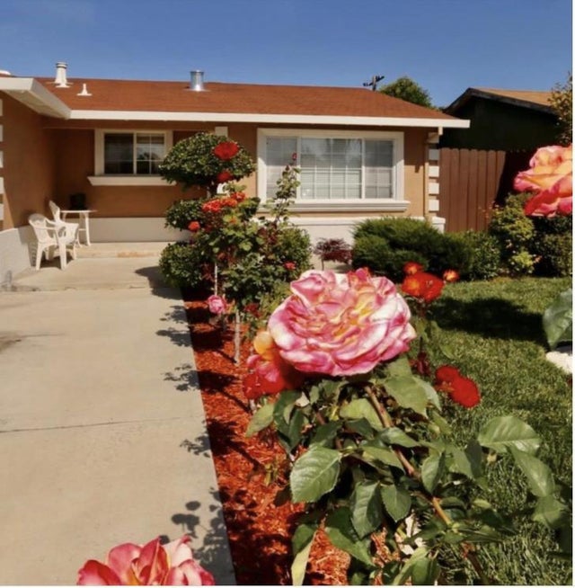 2429 Poplar Dr, San Jose