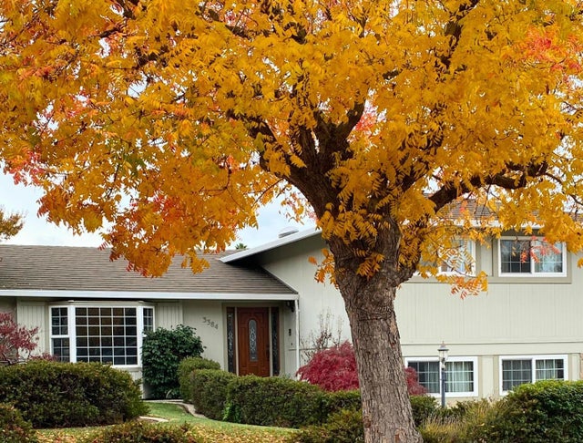 3384 Burgundy Dr, San Jose